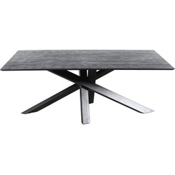 PTMD Alore black black diningtable rectangle 280 cm