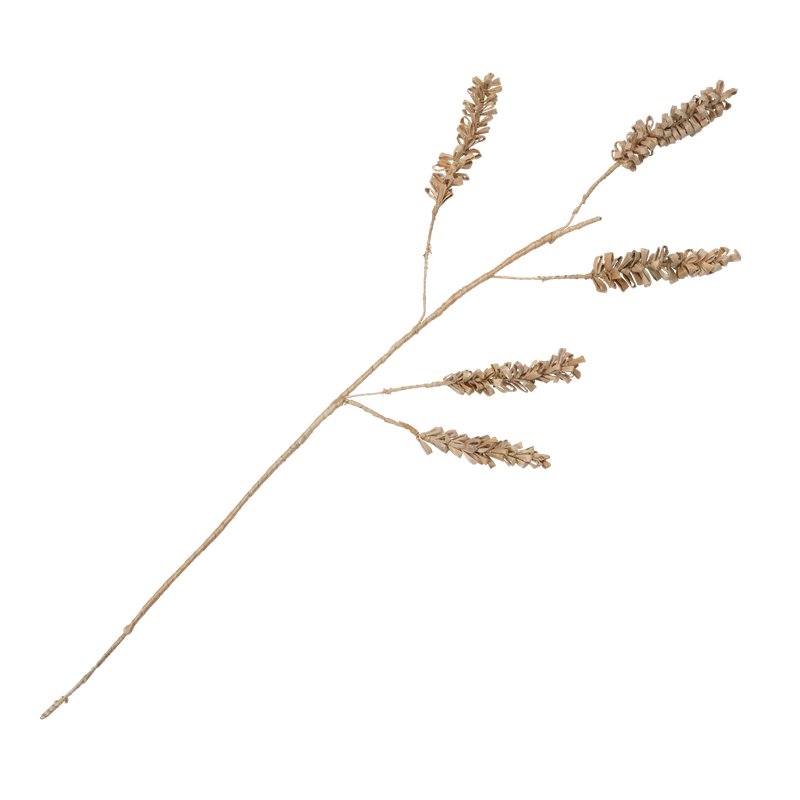 Planta decorative cereal 5-stem - 