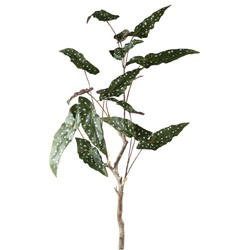 PTMD Kunstplant Begonia - 70x60x94 cm - Polyester - Groen