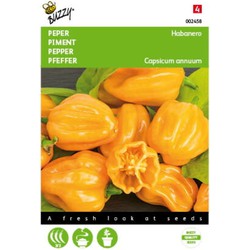 5 stuks - Peper Habanero oranje Tuinplus