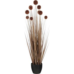 Mica Decorations Kunstplant Pom pon grass - 20x20x90 cm - PVC - Bruin