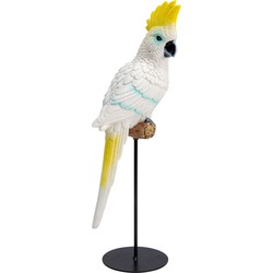 Kare Decofiguur Parrot Cockatoo White