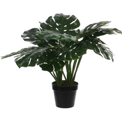 Mica Decorations Monstera Kunstplant - H60 x Ø80 cm - Groen