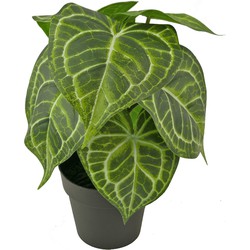 Kunstplant Watermeloen 29 cm | NeverLeafs