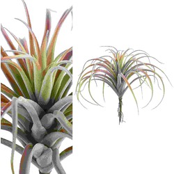 PTMD Succulent Plant Tillandsia Pluk Kunsttak - 20 x 30 x 30 cm - Roze