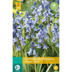 3 stuks - Hyacinthoides hisp. blauw 8 bollen