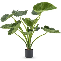 Hoyz Greenery - Kunstplant Alocasia Calioora 80 cm