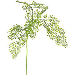 Venushaar adianthum tak large green kunstbloem zijde nepbloem