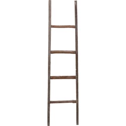 Decoratie ladder | 39*5*150 cm | Bruin | Hout | Decoratie ladder | Clayre & Eef | 50178