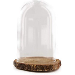 Dijk Natural Collections stolp - glas - houten bruin plateau - D18 x H26 cm - Decoratieve stolpen