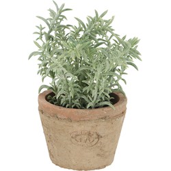 Esschert Design Kunstplant/kruiden tijm - in oude terracotta pot - 15 cm - kruiden - Kunstplanten