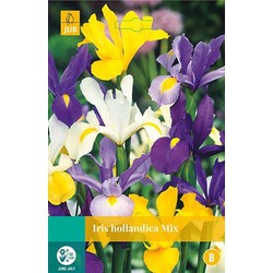 5 stuks - Iris hollandica mix 20 bollen