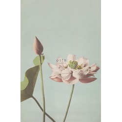 ESTAhome fotobehang lotusbloem oudroze