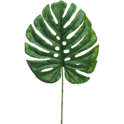 (Best) Monstera leaf Futura small 46cm green - Nova Nature