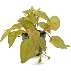 Greenmoods Kunstplant Scdapsus - Scindapsus pictus - Nep plant - 1 Stuk - 25cm