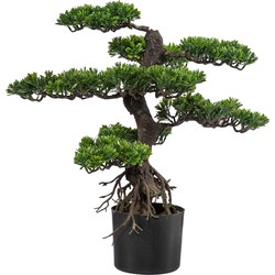 Kopu® Kunstplant Bonsai 65 cm - in zwarte Pot - Bonsai boompje