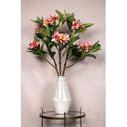 PTMD Plumeria Kunstbloem - 72 x 25 x 110 cm  - Kunststof - Roze