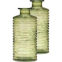Set van 2x stuks glazen stijlvolle bloemenvaas transparant groen D9.5 en H21.5 cm - Vazen