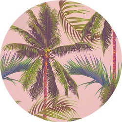 Muurcirkel Palm Pink
