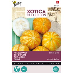 Xotica Gurke Zitrone Apfel Samen - Buzzy