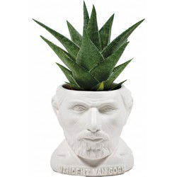 UPG Planter - Vincent Van Gogh