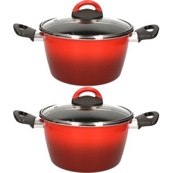 Set van 2x stuks rvs rode kookpan/pan met glazen deksel 20 cm 6 liter - Kookpannen