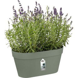 Loft urban Green wall duo 28cm pistachegroen