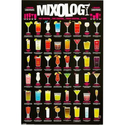 Cocktails maken drankjes muur decoratie poster 61 x 91,5 cm - Posters