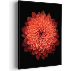 Muurwerken Akoestisch Schilderij - Oranje Dahlia - Geluidsdempend Wandpaneel - Wanddecoratie - Geluidsisolatie - BASIC (AW 0.65) S (50X70)
