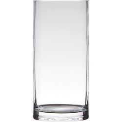 Glazen bloemen cylinder vaas/vazen 25 x 12 cm transparant - Vazen