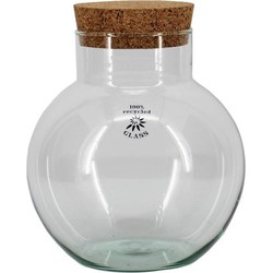 URBANJNGL - Terrarium met kurk - Noah - Gesloten terrarium ↑ 20 cm