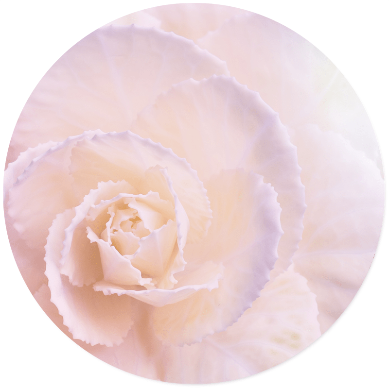Label2X Muurcirkel soft flower pastel Ø 30 cm / Forex - Ø 30 cm - 