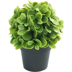 Greenmoods Kunstplant Murraya - Murraya paniculata - Nep plant - Sterk UV bestendig - 1 Stuk - 20cm -