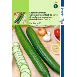 2 stuks - Komkommers Confida F1 Meeldauwresistent