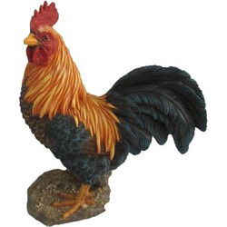 Beeldje haan - polystone - 25 cm - tuinbeeld - dierenbeeld - Beeldjes