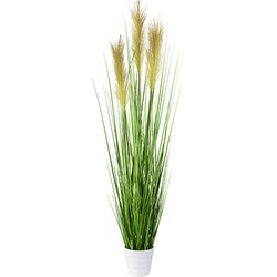 Kopu® Kunstplant Pampusgras 95 cm - 3 pluimen - in witte pot