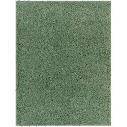 Hoogpolig Shaggy Tapijt SOSO - Groen - 160x213 cm 