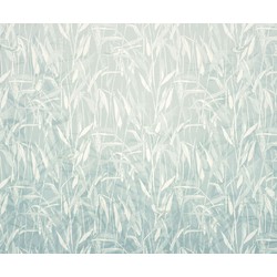 Komar fotobehang Reed blauw - 300 x 250 cm - 611200
