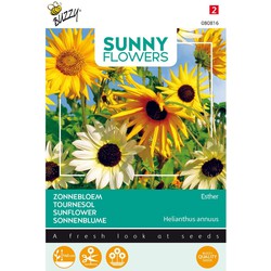 3 stuks - Sunny flowers esther