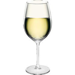 Royal Leerdam Wijnglazen Esprit - 6x - witte wijn - glas - 320 ml - Wijnglazen