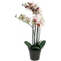 Phalaenopsis Orchidee In Pot 60 cm roze kunstplant