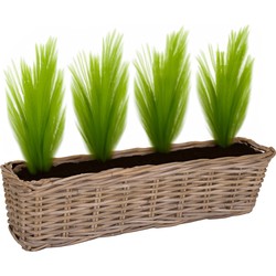 Mega Collections Planten/bloemen mand Levi - rotan - naturel - 60 x 15 x 17 cm - plantenpot voor buiten - Plantenpotten