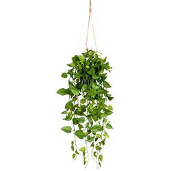 Kopu® Hangplant Philodendron 75 cm - Macramé Plantenhanger met Pot