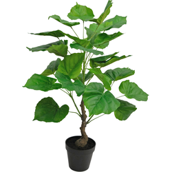 Hoyz Greenery - Kunstplant Ficus 60 cm