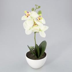 Orchidee in kunststof pot groen M - Oosterik Home