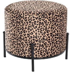 Luipaard print hocker 22952