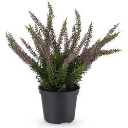 Hoyz Greenery - Kunstplant Erica in pot 30 cm