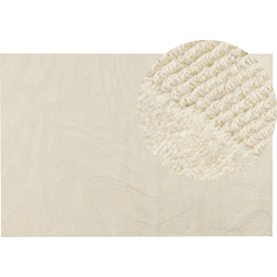 SASNAK - Vloerkleed - Beige - 200 x 300 cm - Wol