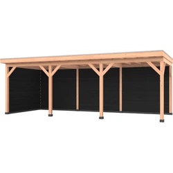 Douglas overkapping 750 x 300, met zwarte achterwand en zijwand, Westwood Comfort