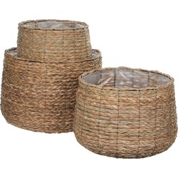 Mica Decorations Avalon Plantenmand - Set van 3 - H32 x Ø44 cm - Zeegras - Lichtbruin